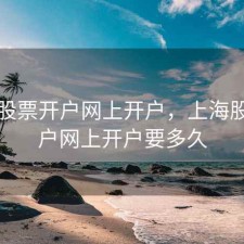 上海股票开户网上开户，上海股票开户网上开户要多久