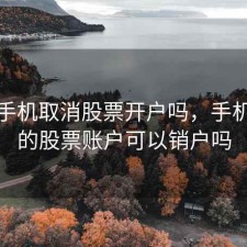 可以手机取消股票开户吗，手机开通的股票账户可以销户吗