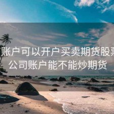 公司账户可以开户买卖期货股票吗，公司账户能不能炒期货