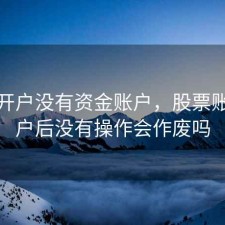 股票开户没有资金账户，股票账户开户后没有操作会作废吗
