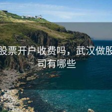 武汉股票开户收费吗，武汉做股票公司有哪些