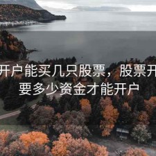 股票开户能买几只股票，股票开户需要多少资金才能开户
