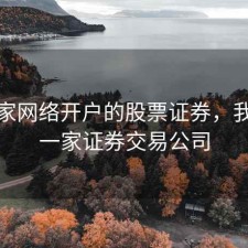 第一家网络开户的股票证券，我国第一家证券交易公司