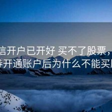 在中信开户已开好 买不了股票，中信证券开通账户后为什么不能买股票