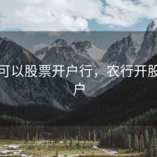 农行可以股票开户行，农行开股票账户