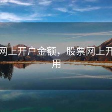 股票网上开户金额，股票网上开户费用