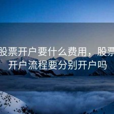 基金股票开户要什么费用，股票基金开户流程要分别开户吗