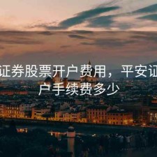 平安证券股票开户费用，平安证券开户手续费多少