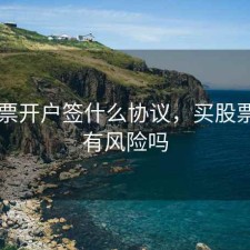 买股票开户签什么协议，买股票开户有风险吗