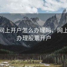 股票网上开户怎么办理吗，网上怎样办理股票开户