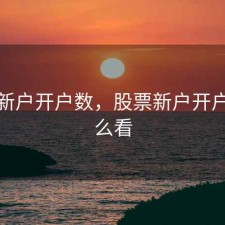股票新户开户数，股票新户开户数怎么看