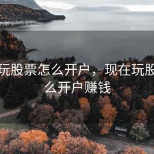 现在玩股票怎么开户，现在玩股票怎么开户赚钱