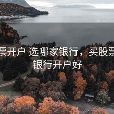 买股票开户 选哪家银行，买股票哪个银行开户好