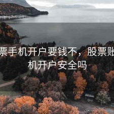 玩股票手机开户要钱不，股票账户手机开户安全吗