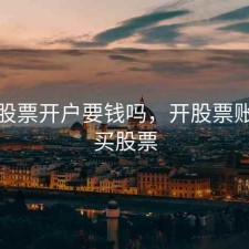 不买股票开户要钱吗，开股票账户不买股票