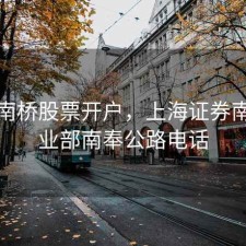 奉贤南桥股票开户，上海证券南桥营业部南奉公路电话