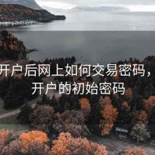 股票开户后网上如何交易密码，股票开户的初始密码
