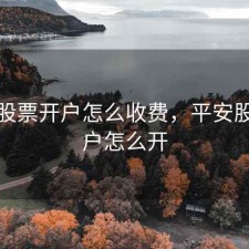 平安股票开户怎么收费，平安股票账户怎么开