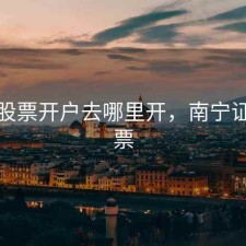 南宁股票开户去哪里开，南宁证券股票
