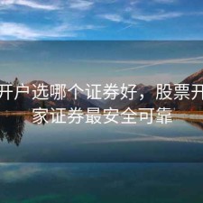 股票开户选哪个证券好，股票开户哪家证券最安全可靠
