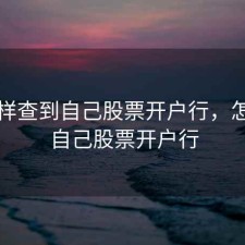 怎么样查到自己股票开户行，怎么看自己股票开户行