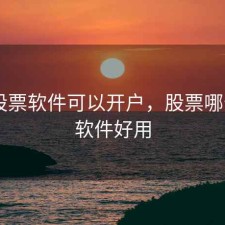 哪个股票软件可以开户，股票哪个app软件好用