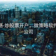 微策略-炒股票开户，微策略软件有限公司