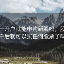 股票一开户就能申购新股吗，股票开户后就可以买任何股票了吗