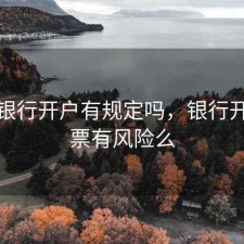 股票银行开户有规定吗，银行开户股票有风险么