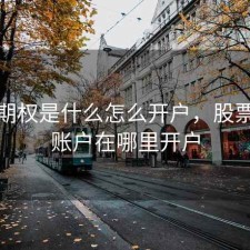 股票期权是什么怎么开户，股票期权账户在哪里开户