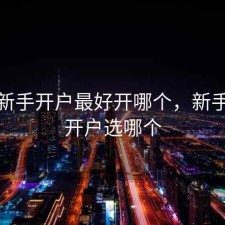 股票新手开户最好开哪个，新手股票开户选哪个