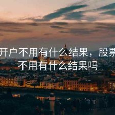 股票开户不用有什么结果，股票开户不用有什么结果吗