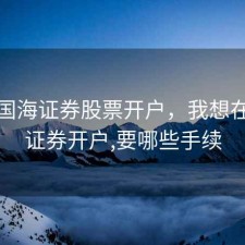 北海国海证券股票开户，我想在国海证券开户,要哪些手续