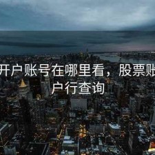 股票开户账号在哪里看，股票账户开户行查询