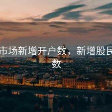股票市场新增开户数，新增股民开户数