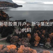 抚顺新华股票开户，新华集团的股票代码