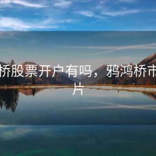 鸦鸿桥股票开户有吗，鸦鸿桥市场图片