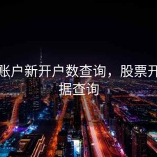 股票账户新开户数查询，股票开户数据查询