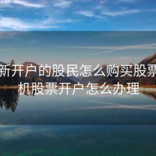 手机新开户的股民怎么购买股票，手机股票开户怎么办理