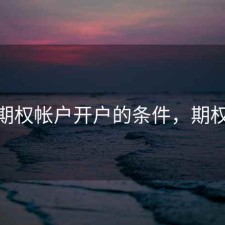 股票期权帐户开户的条件，期权 开户