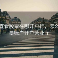 怎么查看股票在哪开户行，怎么查股票账户开户营业厅