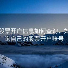 个人股票开户信息如何查询，如何查询自己的股票开户账号