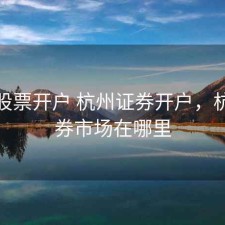 杭州股票开户 杭州证券开户，杭州证券市场在哪里