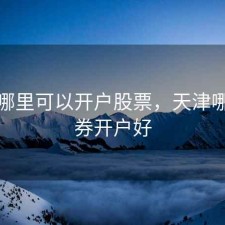天津哪里可以开户股票，天津哪个证券开户好