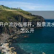 股票开户流沙在哪开，股票流水证明怎么开