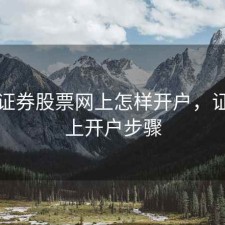 投资证券股票网上怎样开户，证券网上开户步骤
