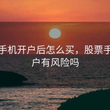 股票手机开户后怎么买，股票手机开户有风险吗