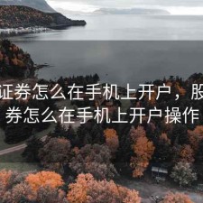 股票证券怎么在手机上开户，股票证券怎么在手机上开户操作