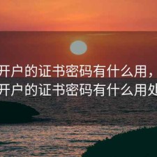 股票开户的证书密码有什么用，股票开户的证书密码有什么用处