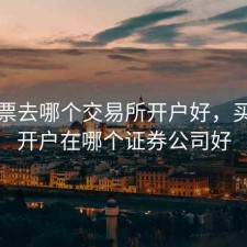 买股票去哪个交易所开户好，买股票开户在哪个证券公司好